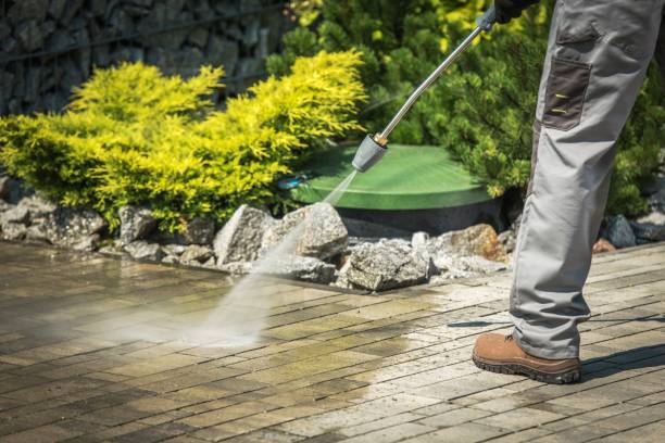 Best Animal Enclosure Cleaning  in Mirrormont, WA