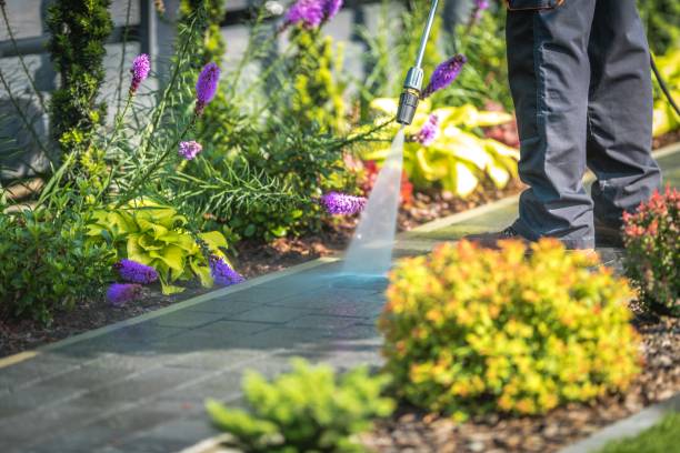 Best Parking Lot and Garage Cleaning  in Mirrormont, WA