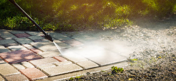 Best Driveway Pressure Washing  in Mirrormont, WA
